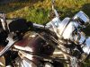 Yamaha_XV_750_Virago_4FY_Fell-Sitz_Sturzbuegel_Gepaecktraeger_Speichenraeder_-_wie_XV_1100_535_250_125_65.jpg