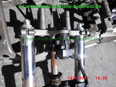 Yamaha_TDM900_RN08_Teile_Ersatzteile_parts_spares_spare-parts_ricambi_repuestos_Motor_TAKKONI_2-1_Sport-Auspuff_BT_Bulldog_Front_-_wie_RN11_RN18_TDM_900_850_XTZ_750-131.jpg